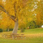 Resistance Band Outdoor Workout Ideas